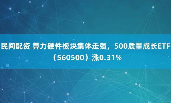 民间配资 算力硬件板块集体走强，500质量成长ETF（560500）涨0.31%